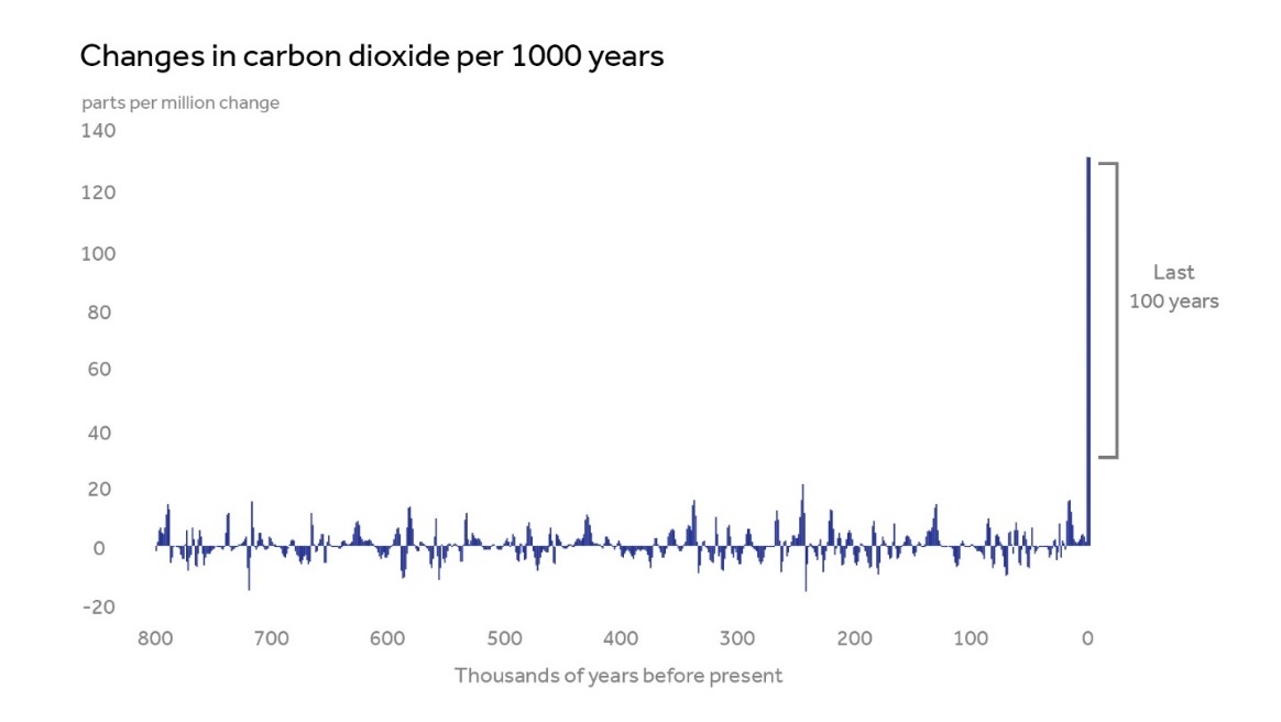 Graph showing changes in carbon dioxide over time. 