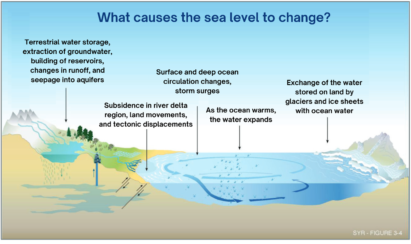 Diagram of a coastline demonstrating global and local processes affecting sea-level change. 