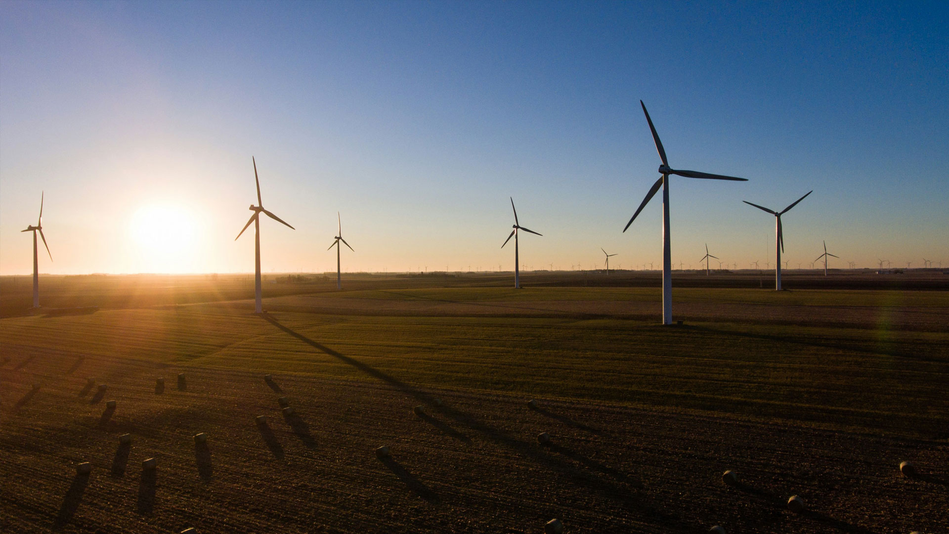 Wind turbines on horizon over fields