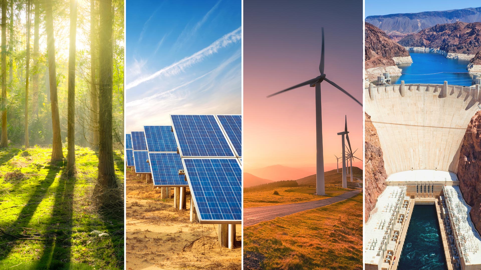 Collage showing trees, solar panels, wind turbines, and a hydroelectric dam