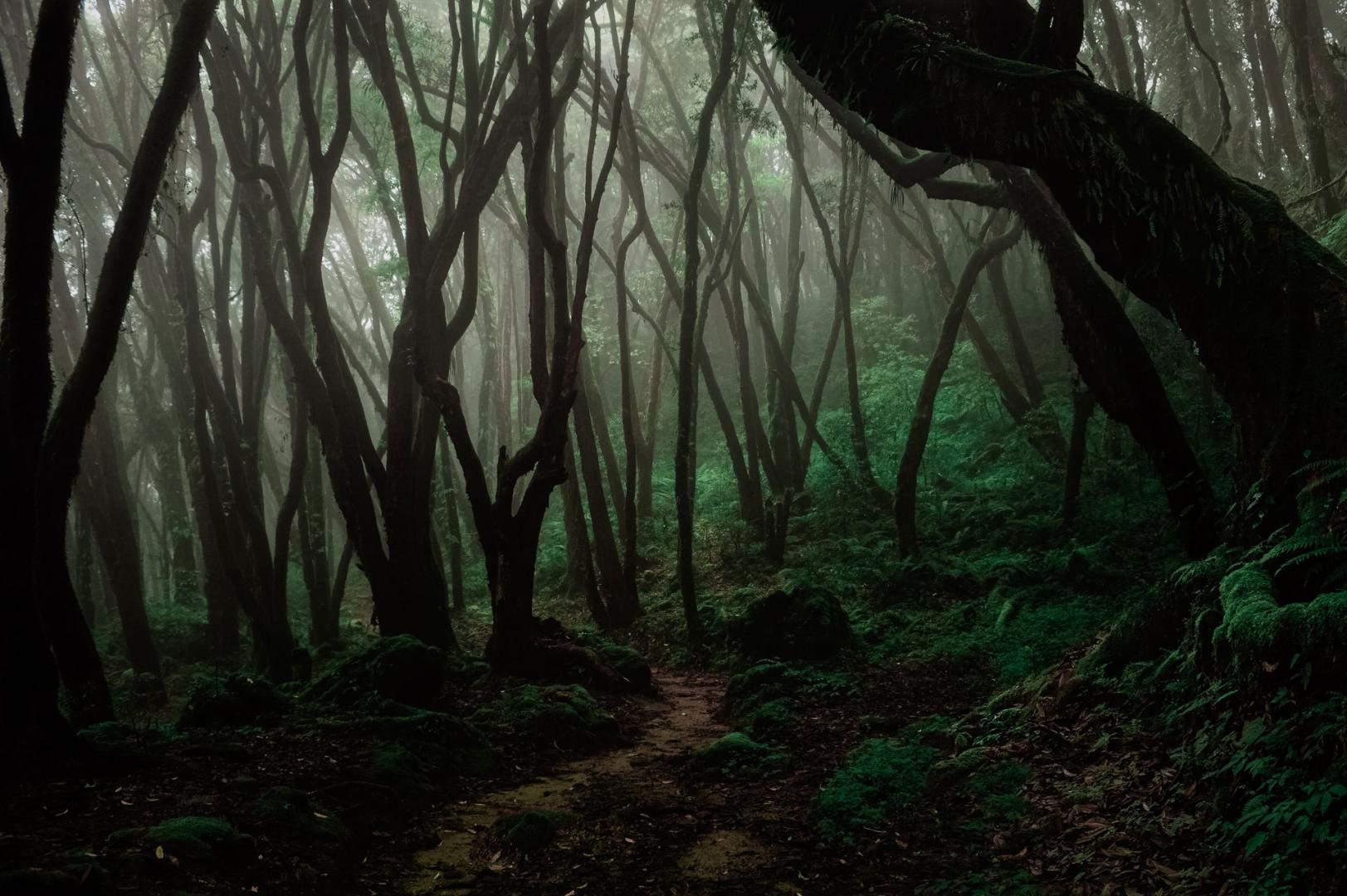 Trees