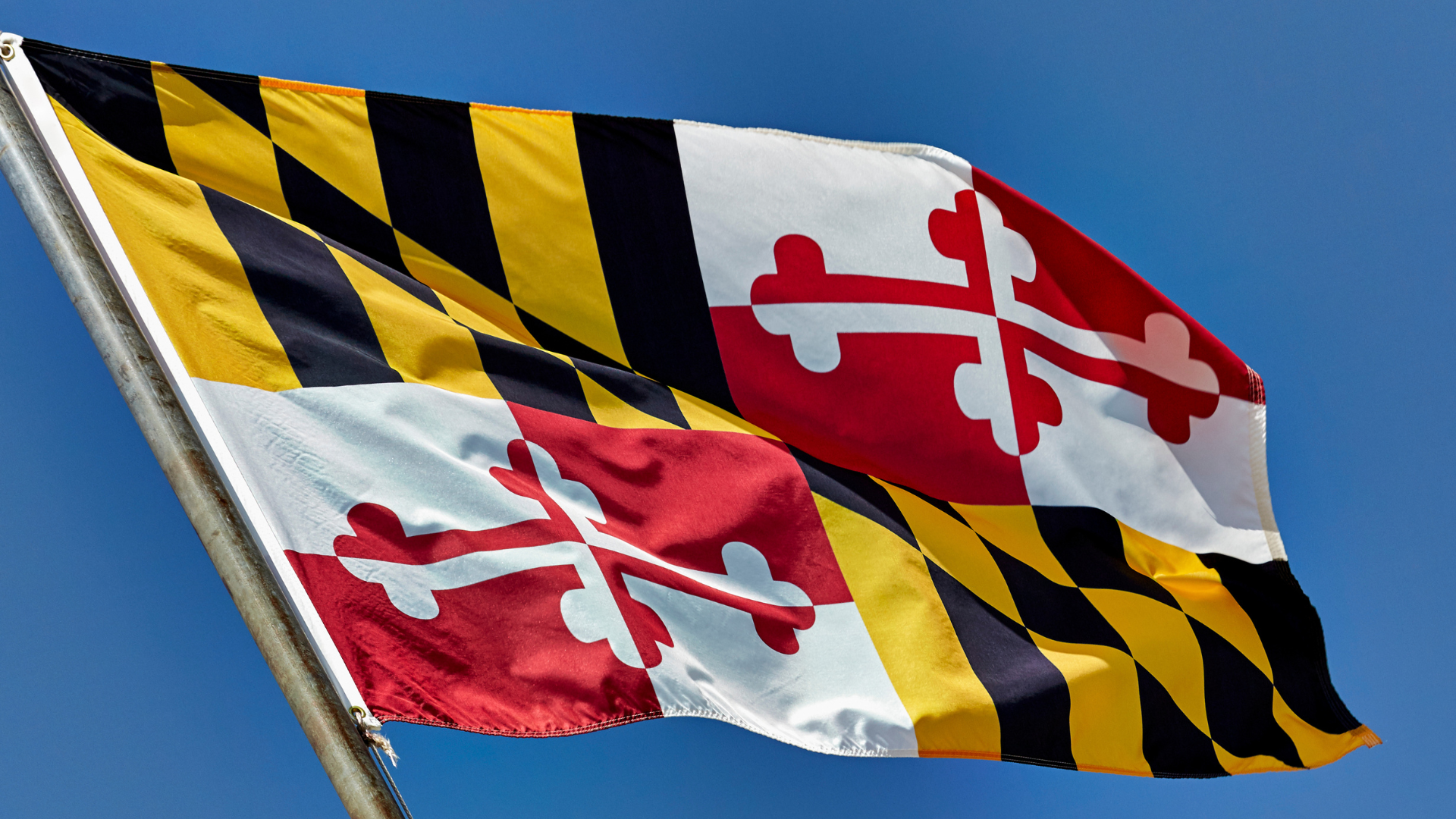 Maryland flag flying in the wind.