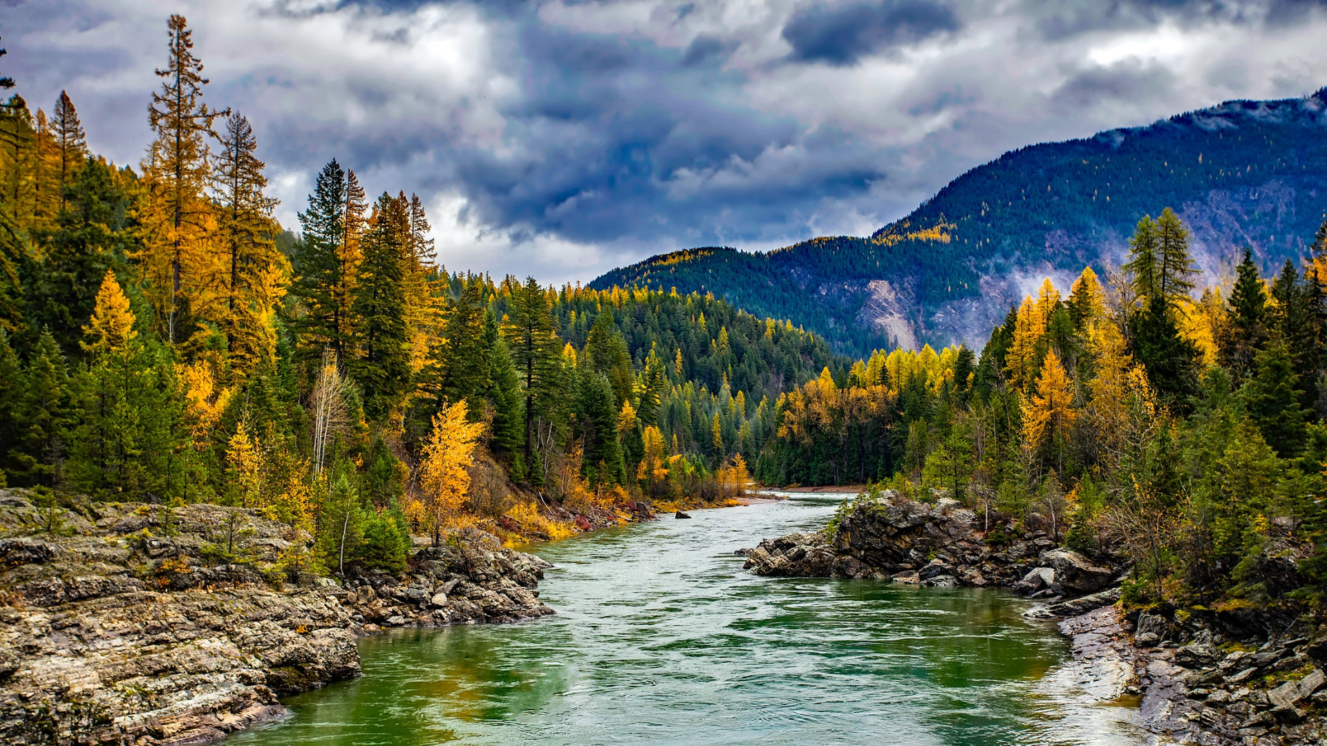 Photo of trees, river, and mountain in Montana.