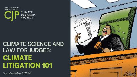 Cover of Climate Litigation 101 Slides