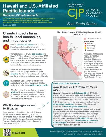 Small image of Climate Impacts in Hawai'i and U.S.-Affiliated Pacific Islands