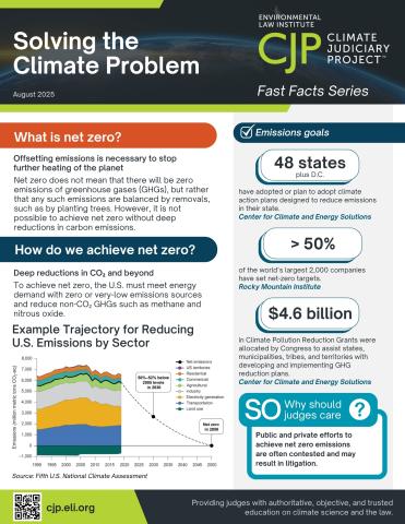 Small image of the Solving the Climate Problem fact sheet